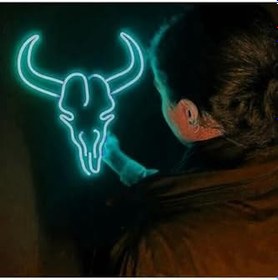 Resim dekoraven Boğa Neon Led Tabela Turkuaz 40x40cm, boğadek1 