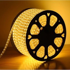 Resim 20 Metre Günışığı Silikonlu Hortum Şerit Led Işık Fişli 3 Çipli 