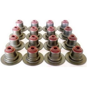 Resim Subap Lastıgı Sapkalı Clıo Kango Twıngo 1.2 16v 75hp 