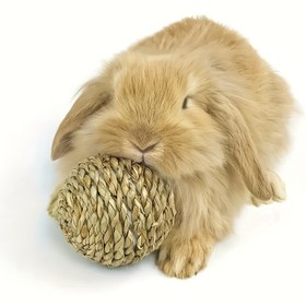 Resim 1 adet Doğal Dokuma Çim Topu Oyuncak Evcil Hayvanlar İçin - Kediler, Tavşanlar & Küçük Hayvanlar İçin İdeal - Pilsiz, Kedi Malzemeleri 
