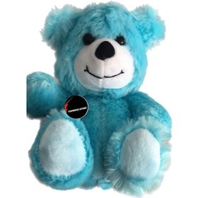 Resim Sevimli Minik Ayı Uyku Arkadaşı 15 Cm Mavi 