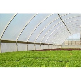 Resim 36 Aylık 350 Mikron Sera Naylonu 12x16m 