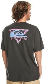 Resim Quiksilver Take Us Back Logo Tişört Erkek 