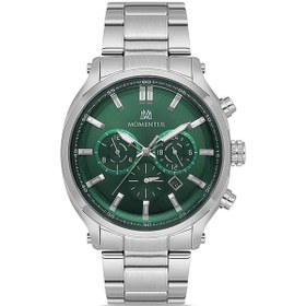 Resim Cc296s-15ss Momentus Erkek Kol Saati Metalik 