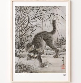 Resim Kurbağa Yakalayan Kedi, Poster 
