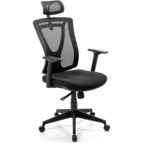 Resim Goldsit Ergonomik Fileli Yönetici Koltuğu 