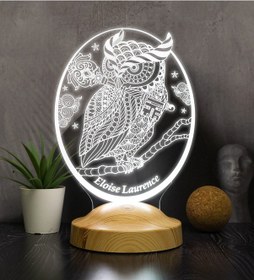 Resim Baykuş Kişiye Özel Led Lamba, Baykuş Tasarımlı 3D Gece Lambası 