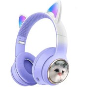 Resim shaza Işıklı Kedi Kulaklı Bluetooth Kulak Üstü Kulaklık - Mor 