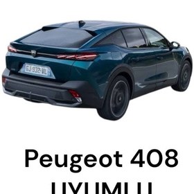 Resim Peugeot 408 Pandizot 