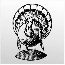 Resim Folyo Sticker Hindi 50cm Uzunluk Siyah 