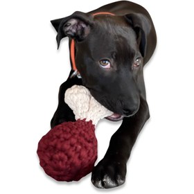 Resim Bistecca El Yapımı Kedi + Köpek Oyuncağı 