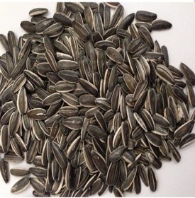 Resim Doğal Siyah Çerezlik Çitlemelik Ayçiçeği Çekirdek Tohumu 1 Kg 