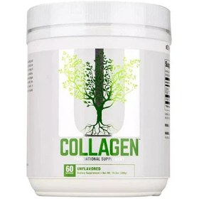 Resim Universal Nutrition Collagen Unflavored 300 g 