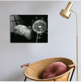 Resim Hayvanlar | Cam Tablo | Kelebek Ve Karahindiba - Siyah Beyaz Fon 