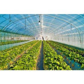 Resim Sera Naylonu 350 Mikron En 10 Mt Boy 20 Mt Kalın Sera Örtüsü Brandası Uv 