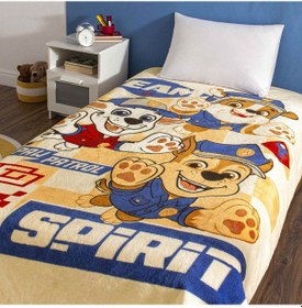 Resim Lisanslı Paw Patrol Joy Tek Kişilik Battaniye 000000001500222951 Çok Renkli 