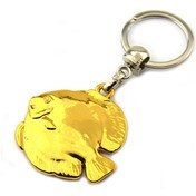 Resim Discus Balık Anahtarlık - Gold Görünümlü 