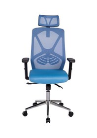 Resim Ofisbazaar Dolphin Siyah Fileli Yönetici Koltuğu Ergonomik Başlıklı Ofis Koltuğu Açık Mavi Mavi 