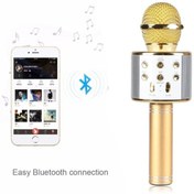 Resim ayaz telekomünikasyon Ws-858 Bluetooth Karaoke Mikrofon Usb Kart Girişi Ses Değiştirme Özellikli 