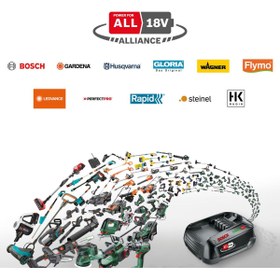 Resim Hype Store Home and Garden EasyChain 18 Akülü Zincirli Ağaç Kesme Makinesi, Yeşil, 18 V, 1 Akü, 20 cm Pala Uzun 