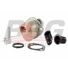 Resim BSG 30-155-004 MAZOT POMPA BASINÇ MÜŞÜRÜ 