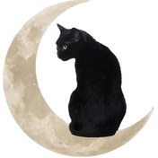 Resim Suntek Ayda Demir Kedi Hediye Pencere Kapalı Banyo Için Asılı 