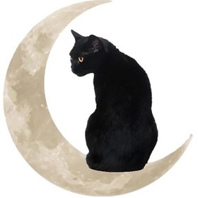 Resim Suntek Ayda Demir Kedi Hediye Pencere Kapalı Banyo Için Asılı 