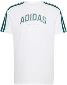 Resim adidas Codes Collegiate Linear Graphic Tee Tişört Erkek 
