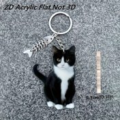 Resim 2D Düz, 1 Adet Sevimli Siyah Beyaz Kedi ve Balık Anahtarlık - Kadınlar & Erkekler için Günlük Kullanım İçin Pratik Anahtarlık, Sevgililer Günü, Noel, Doğum Günleri İçin Mükemmel Hediye - Evcil Hayvan Sever Aksesuarları, Oyuncu Tasarım, Canlı Renkler, Tatil Hediyesi 