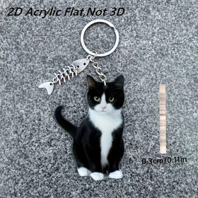 Resim 2D Düz, 1 Adet Sevimli Siyah Beyaz Kedi ve Balık Anahtarlık - Kadınlar & Erkekler için Günlük Kullanım İçin Pratik Anahtarlık, Sevgililer Günü, Noel, Doğum Günleri İçin Mükemmel Hediye - Evcil Hayvan Sever Aksesuarları, Oyuncu Tasarım, Canlı Renkler, Tatil Hediyesi 