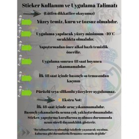 Resim Arabada Bebek Var Hologram Sticker – Işık Vurunca Renk Değiştirir – Sticker Araç, Cam,düz ve Prüzsüz Yüzeyler 