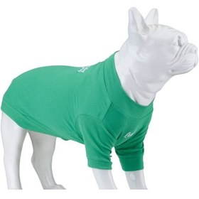 Resim Lindo Dogs Make Today Amazing Köpek Kıyafeti Tshirt Yeşil Beden 6 