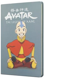 Resim AVATAR AANG SERT KAPAK BUTIK DEFTER GRI 