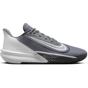 Resim Nike Nıke Precısıon Vıı Basketbol Ayakkabısı Gri 