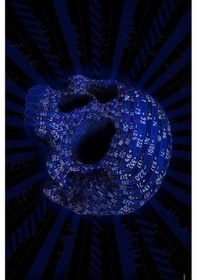 Resim Buffalo Bandana Maths Skull Siyah 