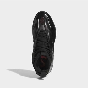Resim Adidas Jr1598 Harden Volume 10 Erkek Basketbol Ayakkabısı Siyah 
