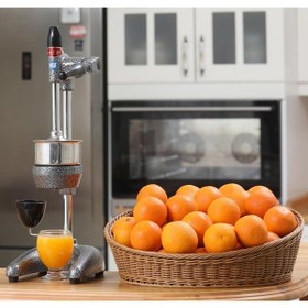 Resim Cancan 0102 Profesyonel Tip Portakal Sıkma Presi 