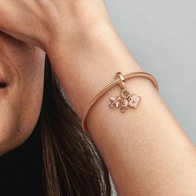 Resim Uçak, Dünya Küresi ve Bavul Sallantılı Rose Charm 
