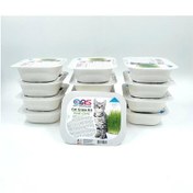 Resim Ans Kedi Çimi 12 Adet 