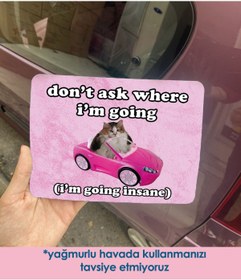 Resim moontainills Kedili Araba Magneti I am going insane 