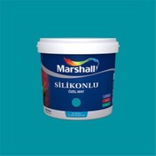 Resim Marshall 16BG 24/357 1 Litre Silikonlu Özel Mat Su Bazlı İç Cephe Boyası (MARSHALL.5134328) 