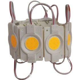 Resim 12 Volt 2.4 Watt Tekli Su Geçirmez Modül Led Gün Işığı (10 Adet) 