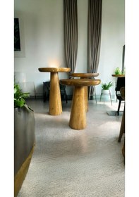 Resim Simillo Wood Ahşap 3 Lü Set Mantar Yan Sehpa Konik Model / Koyu Ceviz Renkli / Zigo Kod:54054612220 Koyu Ceviz 