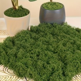 Resim 1 adet Yapay Yosun Çim - Mikro Peyzaj Simülasyonu Yeşillik, Saksı Pencere Dekorasyonu, 30g/1.06oz, Plastik Malzeme, El Aletleri ve Malzemeleri, Ev ve Ofis Dekorasyonu için Uygun 