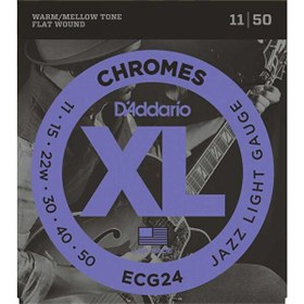 Resim D'Addario ECG24 Elektro Gitar Teli 