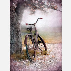 Resim Artist Kanvas Tablo 50x70 cm 