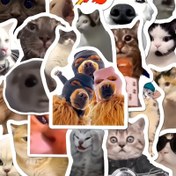 Resim 202 adet Eğlenceli Kedi Meme Sticker Seti Depolama Kutusu ile, Su Geçirmez, Pil Gerektirmez, Tüy Olmayan, Günlükler, Scrapbooking, DIY El Sanatları, Dizüstü Bilgisayarlar, Telefon Kılıfları için 
