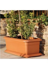 Resim Omnipazar So-v693 Tabaklı Villa Bahçe Saksı Takımı 95 Litre No 3 Yeşil 