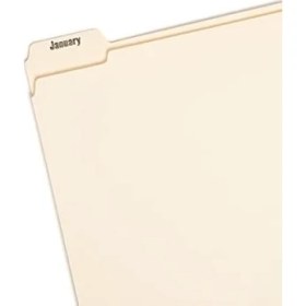 Resim Indiziert Dosya Düzenleyici Set, Aylık (Jan-Aralık) Klasör, Güçlendirilmiş 1/5-Cut Tab, Size, Manila, 12 Pro Set (Navigasyon Cihazı) 