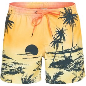 Resim Quiksilver EQYJV03999 Paradise 15 M Jamv Erkek Şort Mayo 